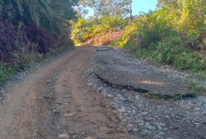 Menyedihkan, Jalan Poros Desa Talang Buai Hancur 