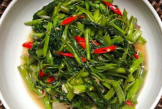 Kangkung: Si Hijau Segar yang Sering Dianggap Bikin Ngantuk, Mitos atau Fakta?