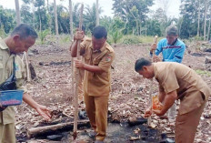 Program Ketahanan Pangan di Air Manjuto Mayoritas Dikelola TPKK 