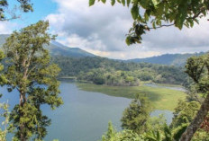 Menjelajahi Keindahan Danau Buyan, Surga Tersembunyi di Bali