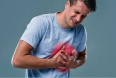 Memahami Penyakit Jantung: Mengenal Faktor Risiko, Gejala, dan Cara Penanganannya!