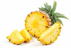 Manfaat Nanas untuk Pencernaan: Mengatasi Sembelit dan Meningkatkan Penyerapan Nutrisi!