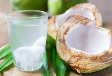 Minum Air Kelapa Setiap Hari: Rahasia Alami untuk Hidrasi dan Kesehatan Optimal