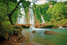 Curug Cikaso Sukabumi Surga Tersembunyi di Jantung Jawa Barat