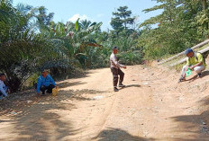 RPJMDes Tambahan, Bukit Makmur Bangun Jalan Penghubung Antar Desa