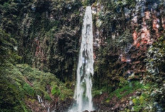 Grujugan Sewu Pesona Air Terjun Tersembunyi di Lereng Merapi