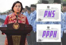 Gaji dan Tunjangan yang Bakal Diterima PNS PPPK,  Honorer Pada 2025, Ini Daftarnya