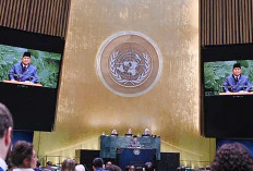 Jadi Presiden Dewan HAM PBB 2026 Indonesia Menduduki Posisi Strategis