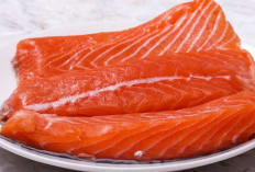 Asam Lemak Omega-3, Ini 3 Manfaat Ikan Salmon Untuk Ginjal Sehat