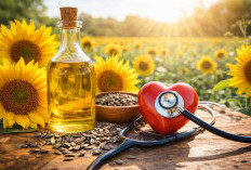 Manfaat Minyak Bunga Matahari untuk Kesehatan Jantung: Menurunkan Kolesterol dan Mencegah Penyakit Kardiovasku