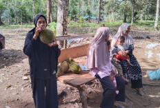 Pembuatan Tempat Wisata Terkendala Izin