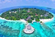 Pulau Cubadak: Eksplorasi Surga Tersembunyi Di Pesisir Selatan yang wajib di Kunjungi jika Berlibur Kesana