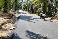 Inilah Titik Jalan Strategis yang Diusulkan Dibangun Lewat Dana Inpres 2026