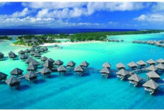 Menyelam di Laut Jernih Pulau Derawan yang Penuh Biota Laut