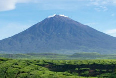 Gunung Kerinci, Gunung Tertinggi di Sumatra Dengan Segala Keindahannya