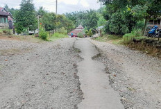 Berulangkali Diusulkan, Jalan di Talang Buai Tak Kunjung Dibangun