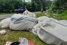 Sampah, Masalah yang Tak Kunjung Bisa Diatasi