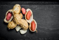 Cara Menyimpan Kacang Tanah: Agar Awet dan Tidak Tengik!  ﻿