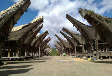 Kehangatan Rumah Adat Tongkonan Toraja: Simbol Kehidupan, Keluarga, dan Keabadian