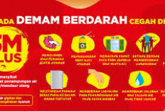 3M Plus Langkah Kecil yang Bisa Selamatkan Banyak Nyawa dari DBD 