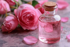 Rahasia Kesehatan dalam Kelopak Mawar: Manfaat Tersembunyi untuk Kulit, Pikiran, dan Kesejahteraan!