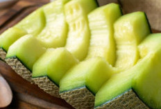 Rahasia Memilih Melon Super Manis, Panduan Jitu dari Ladang Hingga Meja Makan