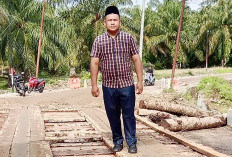 Jembatan Darurat Sungai Puyung Di Nenggalo Sudah Bisa Dilintasi 