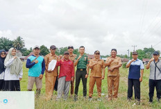 Pemdes Lubuk Mukti Segera Realisasikan Dua Fisik Dana Desa