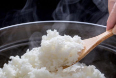 Rahasia Nasi Pulen, Panduan Lengkap Menuju Nasi Sempurna di Meja Makan Anda