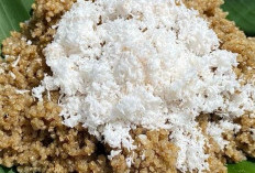 Oyek: Nasi Singkong yang Awet dan Bergizi, Warisan Kuliner dari Tanah Jawa  ﻿