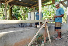 Pembangunan Gerai Koperasi Desa Merah Putih Serap Tenaga Kerja Lokal di Mukomuko