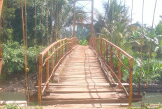 Rehab Jembatan Persawahan Desa Talang Buai Ditunda Karena Material 