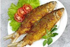 Lebih dari Sekadar Ikan, Harta Karun Nutrisi dan Kesehatan