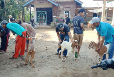 Maju Makmur, Satu-satunya Desa di Kecamatan Penarik yang Menerima Reward Kinerja 