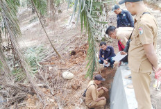 Monev APBDes Tahap II di Kecamatan Lubuk Pinang Diagendakan Bulan Depan