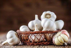 8 Manfaat Bawang Putih yang Menakjubkan untuk Kesehatan: Dari Meningkatkan Imun hingga Mencegah Kanker