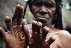 Mengenal Makna Dibalik Tradisi Potong jari Niki Paleg Suku Dani Papua