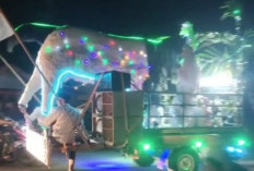 Takbir Keliling Forkopimcam Sungai Rumbai Cukup Meriah