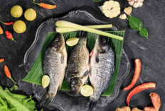 Terkuak! Ternyata 5 Jenis Ikan Tawar Ini kaya omega 3 dan Sangat Sehat Untuk Di konsumsi