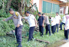 6 Warga Selagan Raya Suspect DBD, Camat Pimpin Gerakan Tabur Abate