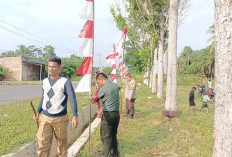 Sambut HUT RI Ke-79, Desa Lubuk Gedang Penuhi Dengan Umbul-umbul