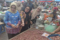 Jelang Nataru, Wabup dan TPID Cek Harga di Pasar Tradisional