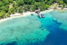 Bingung Mau Cari Tempat Liburan Di Bali? 7 Rekomendasi Destinasi Wisata yang Memberikan Pengelaman Tak Terlupa