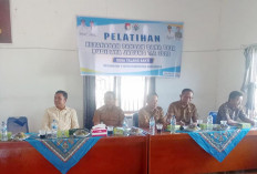 Realisasi Tanam Jagung Desa Talang Sakti Tunggu Kesiapan TPKK 