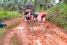 Tidak Ada yang Diharap Warga Goro Rehab Jalan 
