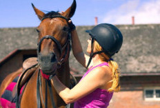 Menjelajahi Keajaiban Kuda: Lebih dari Sekadar Hewan Tunggangan, Simbol Keanggunan dan Kekuatan!