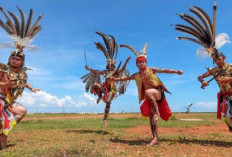 Tari Sampit, Tarian Tradisional yang Memukau dari Kalimantan Tengah