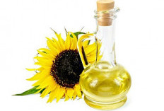 Minyak Bunga Matahari: Rahasia Sehat dari Alam untuk Masakan dan Kecantikan!
