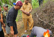 BREAKING NEWS - Warga Sidodadi Ditemukan Meninggal di Kebun, Ada Darah di Mulutnya 