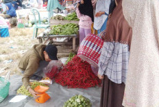 Pasca Pemilu Harga Cabai Merah Melonjak